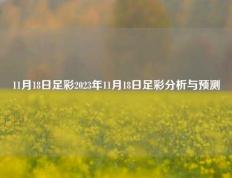 11月18日足彩2023年11月18日足彩分析与预测
