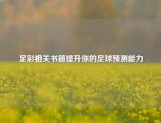 足彩相关书籍提升你的足球预测能力