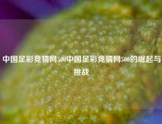 中国足彩竞猜网500中国足彩竞猜网500的崛起与挑战
