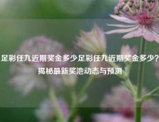 足彩任九近期奖金多少足彩任九近期奖金多少？揭秘最新奖池动态与预测