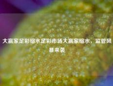 大赢家足彩缩水足彩市场大赢家缩水，监管风暴来袭