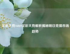 足彩大势16069足彩大势解析揭秘明日竞猜市场趋势
