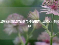 足彩16195期足球预测与分析报告 - 足彩16195期回顾
