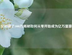 足彩赚了1000万揭秘如何从零开始成为亿万富豪