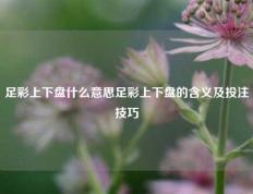 足彩上下盘什么意思足彩上下盘的含义及投注技巧
