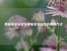 竞彩和足彩区别理解足球投注的两种方式