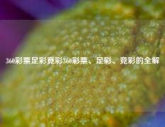 360彩票足彩竟彩360彩票、足彩、竞彩的全解