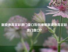 新浪体育足彩澳门盘口如何理解新浪体育足彩澳门盘口？