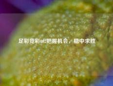 足彩竞彩002把握机会，稳中求胜