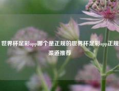 世界杯足彩app哪个是正规的世界杯足彩app正规渠道推荐