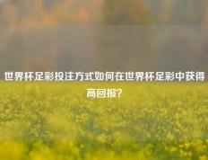 世界杯足彩投注方式如何在世界杯足彩中获得高回报？