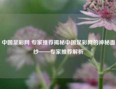 中国足彩网 专家推荐揭秘中国足彩网的神秘面纱——专家推荐解析