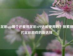 足彩app哪个还能用足彩APP还能使用吗？探索现代足彩游戏的新选择