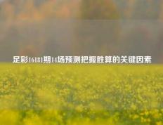 足彩16181期14场预测把握胜算的关键因素