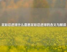 足彩总进球什么意思足彩总进球的含义与解读
