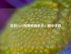 足彩16175预测把握机会，稳中求胜