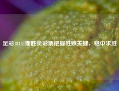 足彩18141期胜负彩票把握胜败关键，稳中求胜