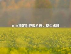 16126期足彩把握机遇，稳中求胜