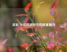 足彩 小说跨越时空的双重魅力