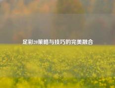 足彩20策略与技巧的完美融合