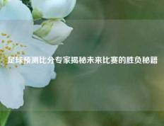 足球预测比分专家揭秘未来比赛的胜负秘籍