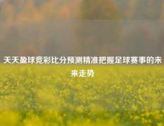 天天盈球竞彩比分预测精准把握足球赛事的未来走势