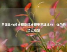 足球比分超准预测精准预见足球比分，你的胜负已注定