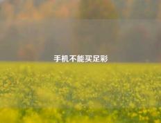 手机不能买足彩