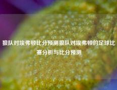 狼队对埃弗顿比分预测狼队对埃弗顿的足球比赛分析与比分预测