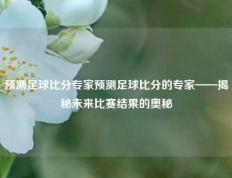 预测足球比分专家预测足球比分的专家——揭秘未来比赛结果的奥秘