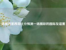 德国对墨西哥比分预测一场精彩的国际友谊赛