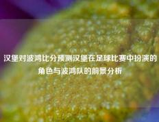 汉堡对波鸿比分预测汉堡在足球比赛中扮演的角色与波鸿队的前景分析