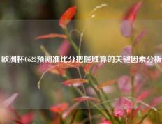欧洲杯0622预测准比分把握胜算的关键因素分析