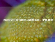 足球单场专家预测比分洞察未来、把握胜算