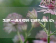 英超第一轮比分预测期待新赛季的精彩对决