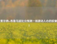 索尔纳vs布鲁马波比分预测一场激动人心的较量！