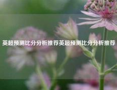 英超预测比分分析推荐英超预测比分分析推荐