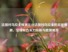 法国对乌拉圭预测比分法国对乌拉圭的足球预测，交锋双方实力分析与胜算概率