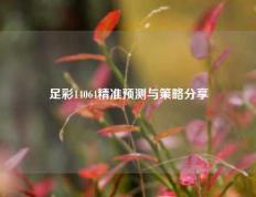 足彩14064精准预测与策略分享