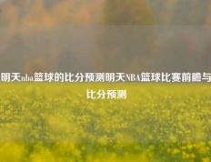 明天nba篮球的比分预测明天NBA篮球比赛前瞻与比分预测