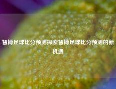 智博足球比分预测探索智博足球比分预测的新机遇