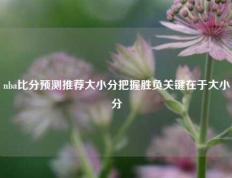 nba比分预测推荐大小分把握胜负关键在于大小分