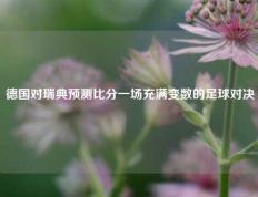 德国对瑞典预测比分一场充满变数的足球对决