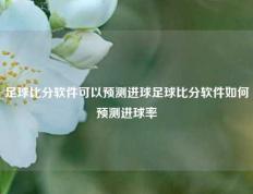 足球比分软件可以预测进球足球比分软件如何预测进球率