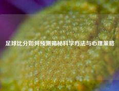 足球比分如何预测揭秘科学方法与心理策略