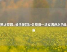 斯坎索普vs彼得堡联比分预测一场充满悬念的比赛