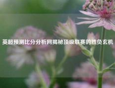 英超预测比分分析网揭秘顶级联赛的胜负玄机