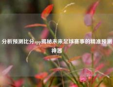 分析预测比分app揭秘未来足球赛事的精准预测神器