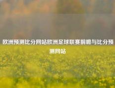 欧洲预测比分网站欧洲足球联赛前瞻与比分预测网站