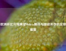 欧洲杯比分预测望98db in期待与挑战并存的足球盛宴